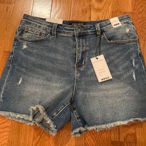 Judy Blue Denim Shorts